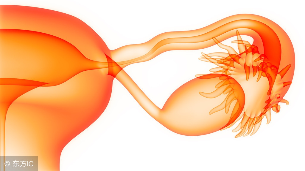 腹痛查出宫外孕、大出血！女性下腹痛的警讯，别以为只是腹痛了！