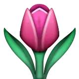 好消息：武汉协和医院携手闽东医院专家走进霞浦大型义诊