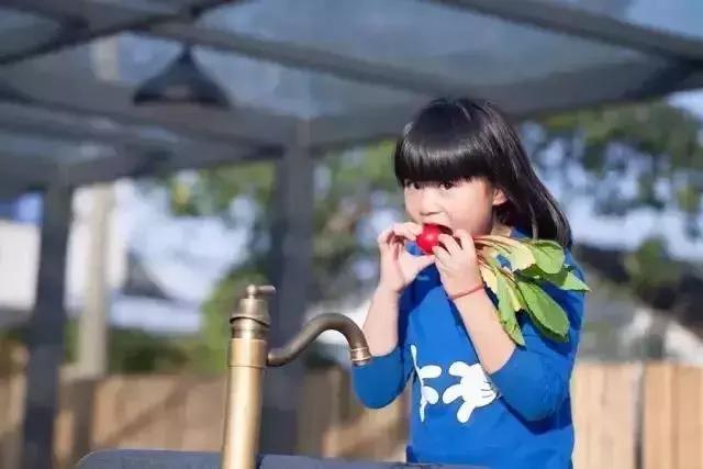 苏州民宿家庭6人,苏州民宿住宿哪里最好又便宜