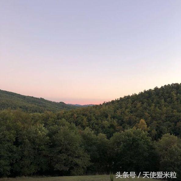 好莱坞情感电影在线观看完整版,好莱坞情感速递