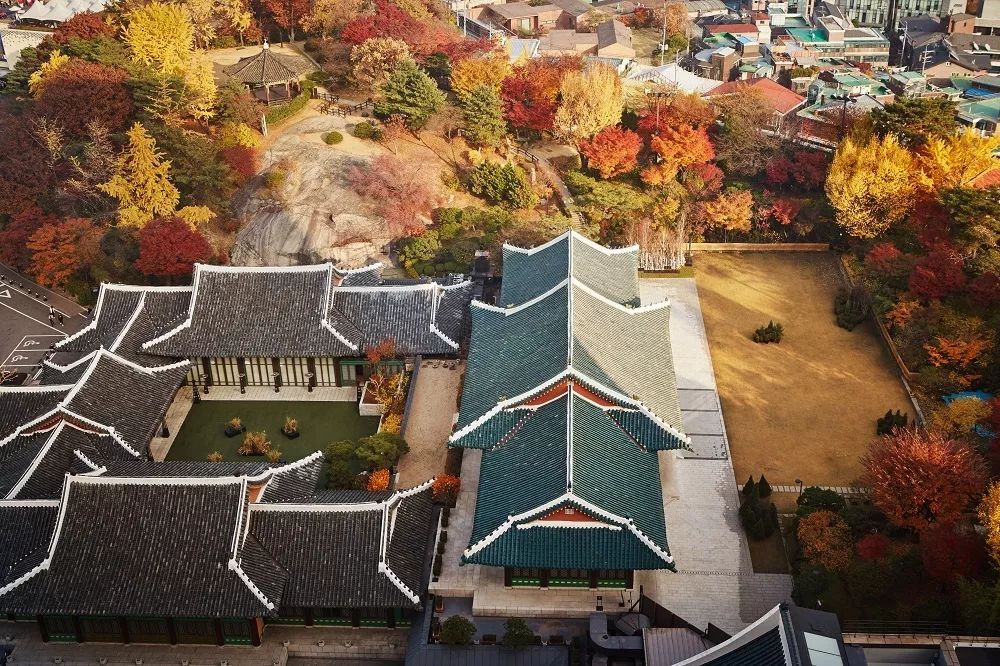 换上明星酷美短发秋天还有更多好去处等你来探