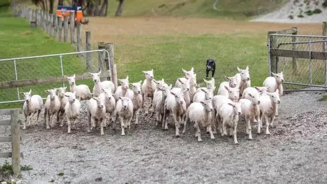 深扒完中国锦鲤的免费旅行清单之后,我也没有那么羡慕了哼!
