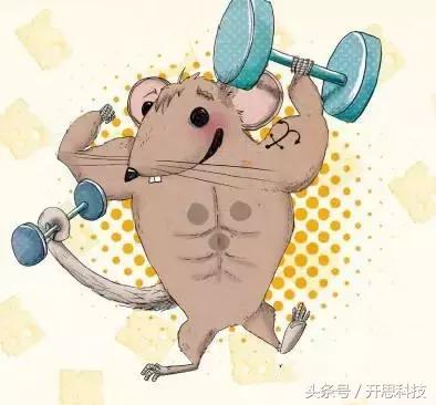 到底是不是智商税用了就知道,究竟是智商税还是真香