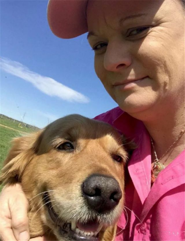 大金毛真的是太暖心了,大金毛太暖了吧