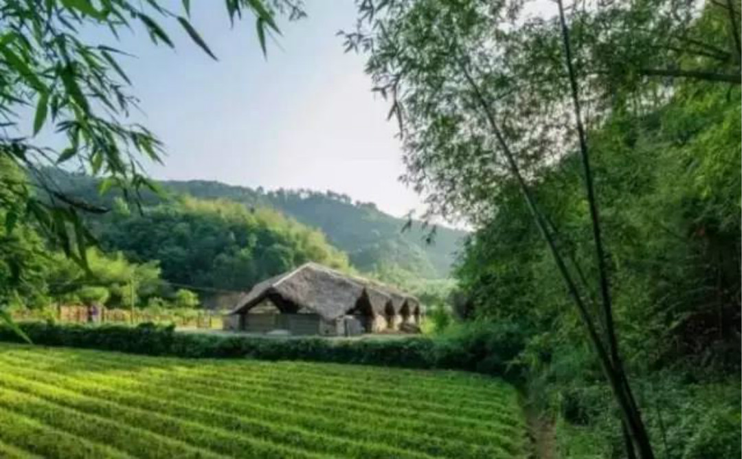 乡村改造田园景观设计,乡村特色复古景观设计