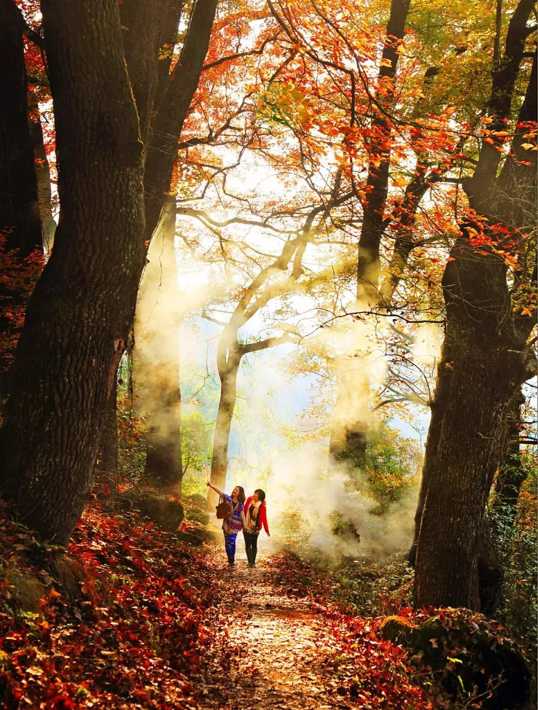 浙南绝美秘境,浙南生态秘境自驾