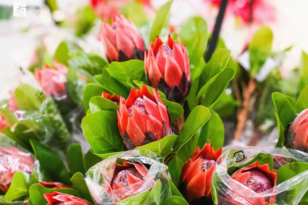 每次去宜家的感觉,每次逛宜家都好想有个家