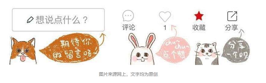 泰迪对主人吠叫,泰迪狗狗乱叫扰民怎么办