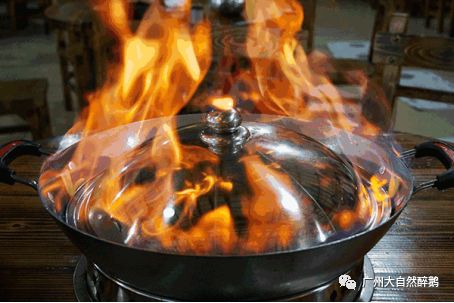 色香味俱全大自然醉鹅,大自然醉鹅真的好吃吗