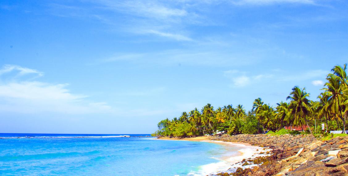 国外红茶排行榜前十名最好喝的茶,红茶出名的地方