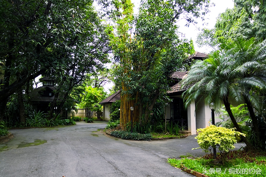 泰国清迈拜县攻略,泰国清迈县自由行攻略