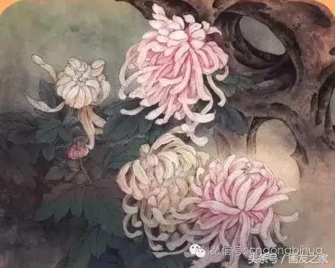 国画工笔菊花的画法视频,线描菊花画谱