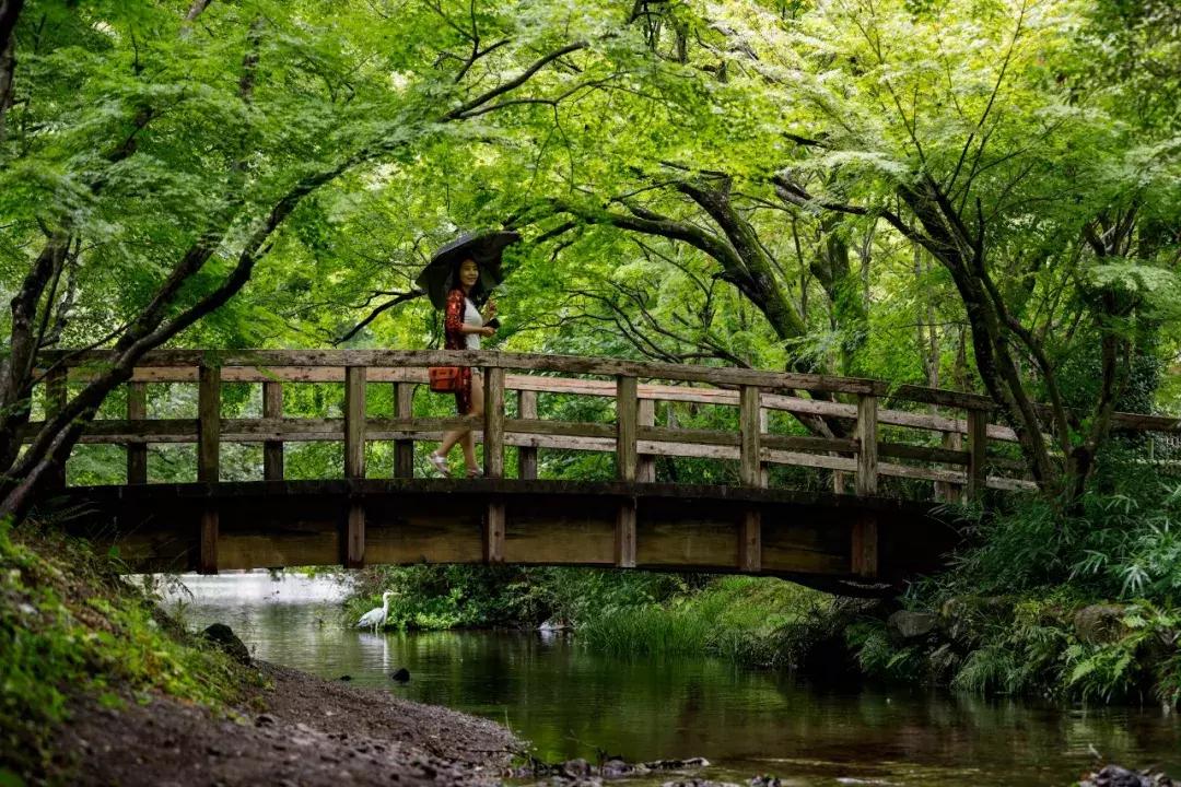 一台高性能笔记本能给你带来什么,便携笔记本电脑摄影