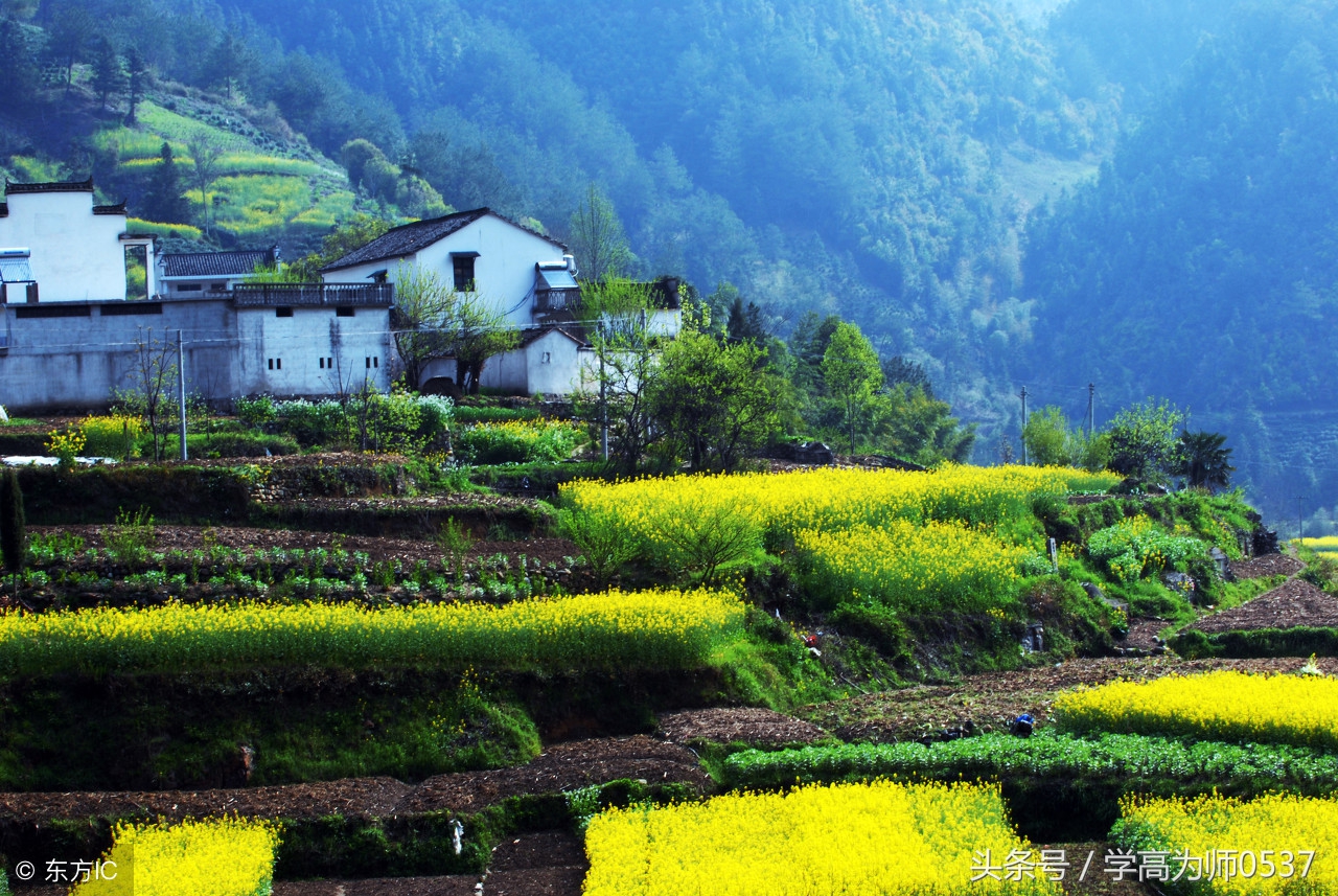 谜语有难度没有答案,20个很难猜出的谜语
