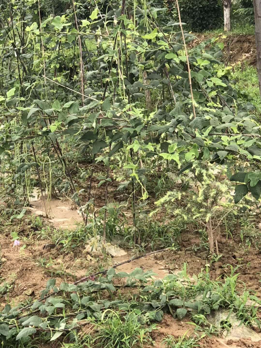 乾县鸿盛餐饮团购,乾县鸿盛餐饮有限公司