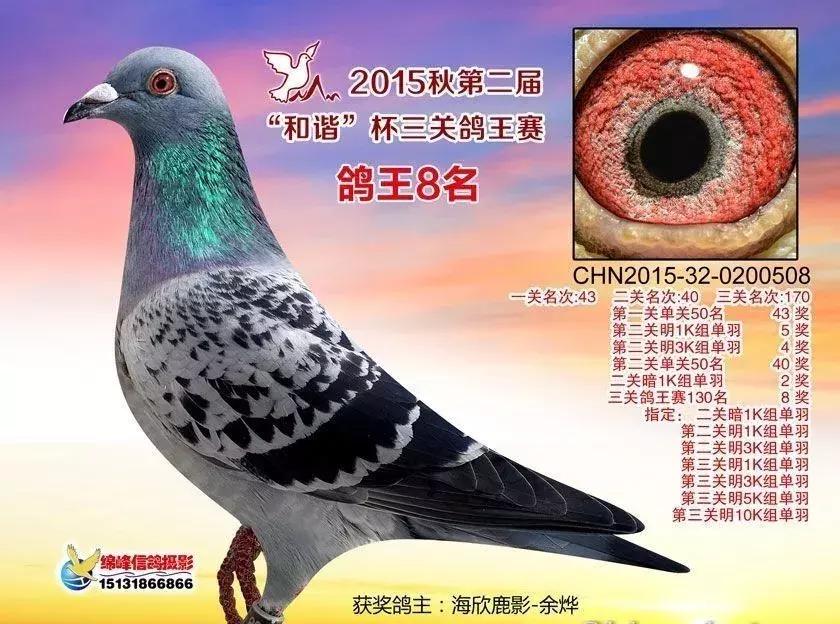 不死必归，一组带伤归来的英雄们！「图」