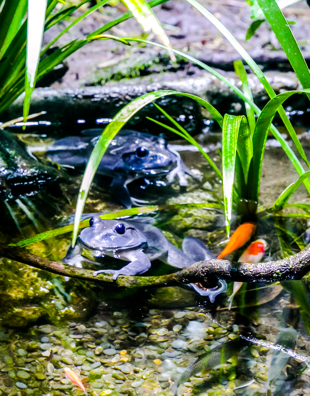 鏉ュ埌骞垮窞鐧戒簯姹囧箍鍦轰笌瑙備紬瑙侀潰,鐧戒簯姹囧箍鍦哄槈骞村崕