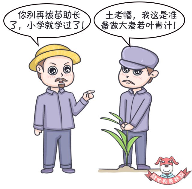 大麦若叶青汁可以清肠吗,足贴真的排毒减肥吗