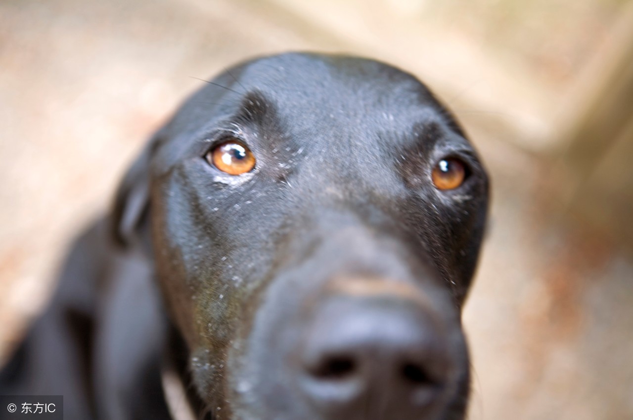 宝妈适合做的兼职最新,适合宝妈在家独立完成的兼职