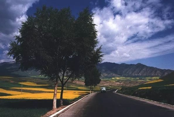 霍尔果斯避税的感想,霍尔果斯免税现状