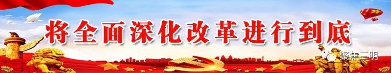 林博会上插花艺术家现场教你插花，还有50多件花艺大师作品亮相！