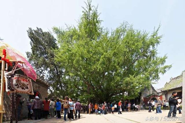 莒县是千年古县吗,千年古县莒县