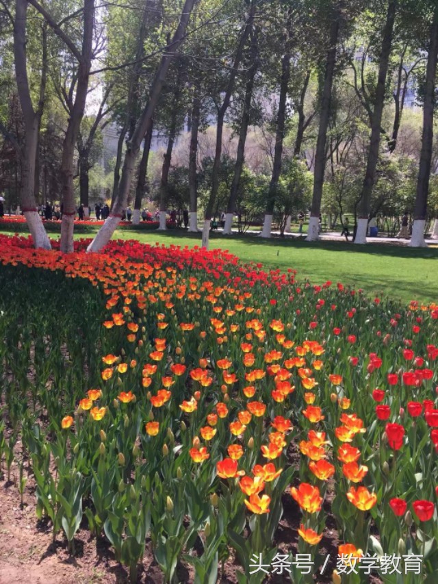 怎么用数学来解释足球,数学足球有哪些小知识