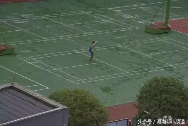 网红莉哥的直播账号被解封,凉凉歌曲原唱莉哥