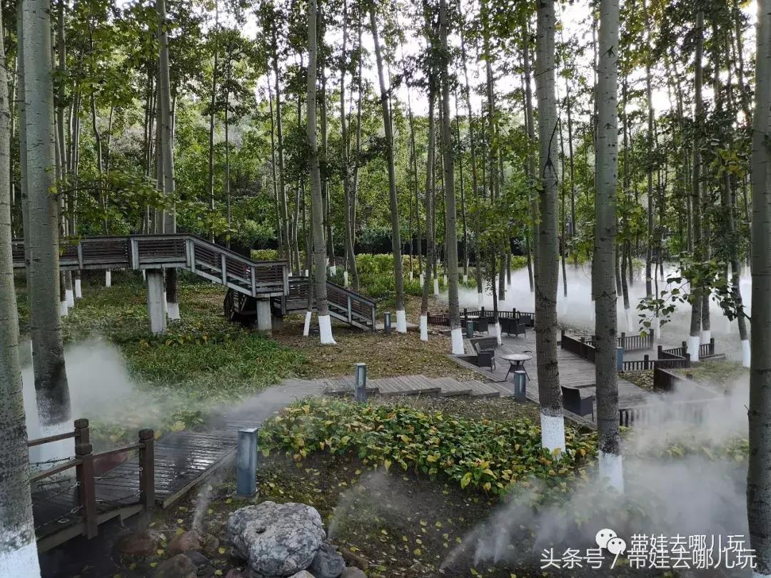 京郊十大亲子酒店,平谷亲子酒店值得去吗