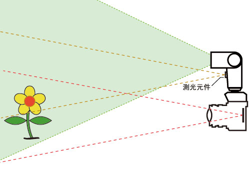 单反外置闪光灯的正确使用方法,单反相机怎么用闪光灯拍好人像