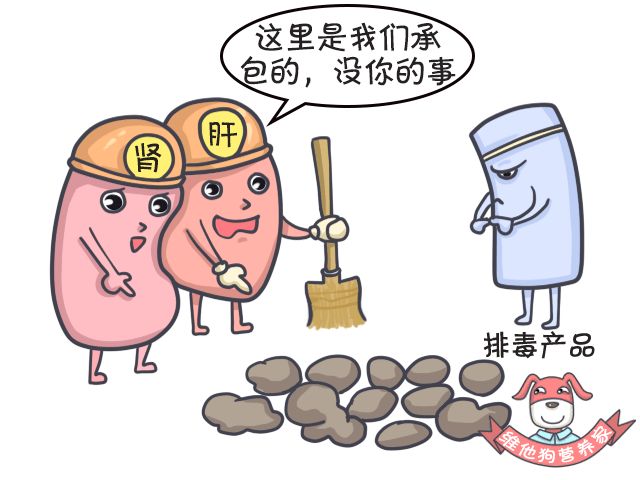 排毒瘦身足贴,足贴正品祛湿气排毒减肥测评