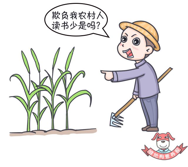 足贴、清肠丸、大麦若叶真的有效吗？戳穿朋友圈9大排毒网红