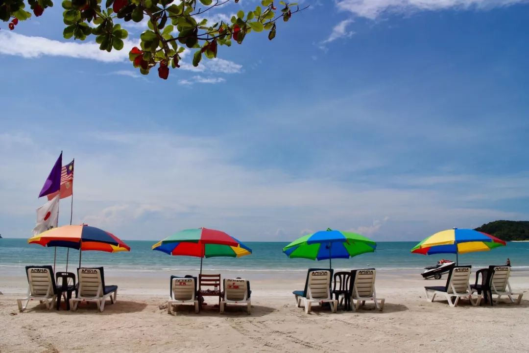 李茶的姑妈海景大别墅,李茶的姑妈在马来西亚