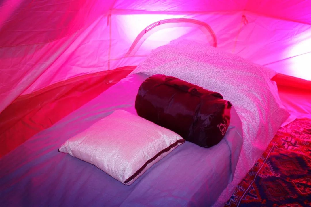 车叔的全部视频,车叔的最新视频