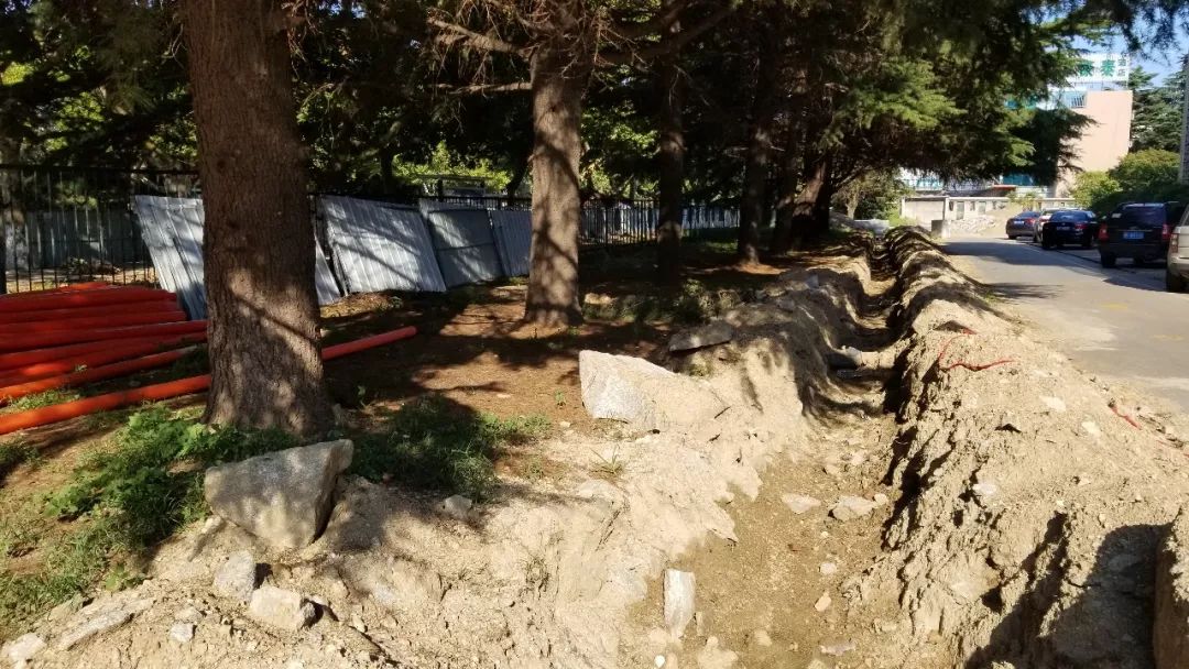 美了美了钢琴曲二胡,美了美了越南红歌