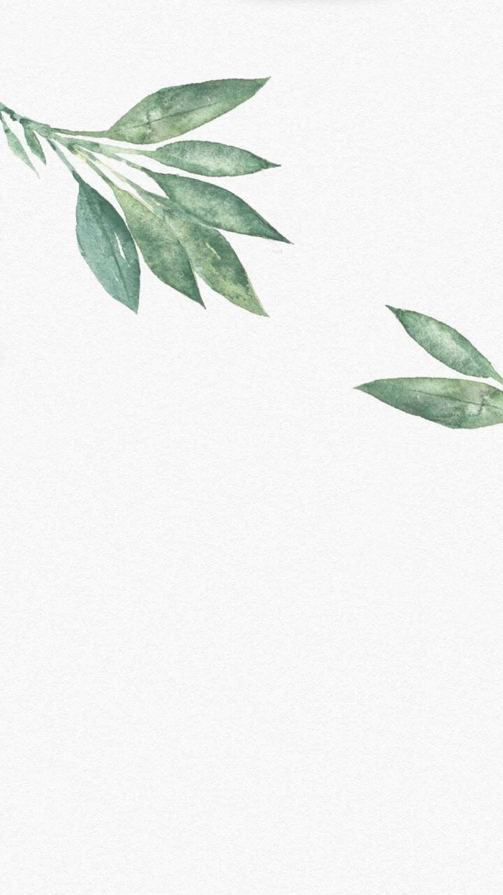 推荐几款口碑好的洗面奶,推荐几款超便宜的洗面奶