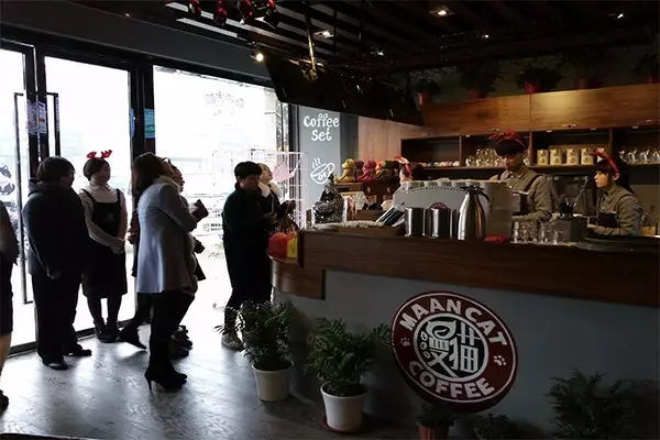 今天不聊情怀，聊加盟｜这只“漫猫”很有情怀