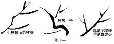 国画基础梅花的几种画法,徐湛国画梅花的画法视频
