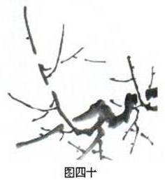 国画基础梅花的几种画法,徐湛国画梅花的画法视频