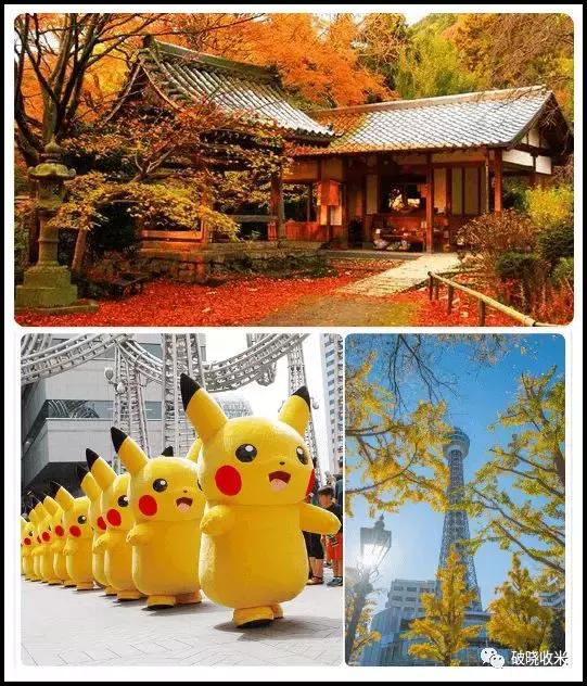 日职联水手,2024日职联球队巡礼横滨水手