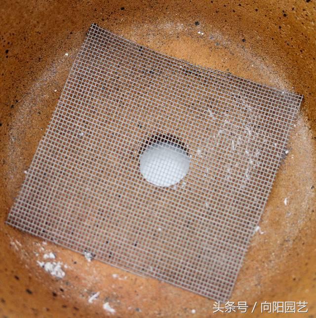 养花首先要养土,养花先养根合理的配土很重要