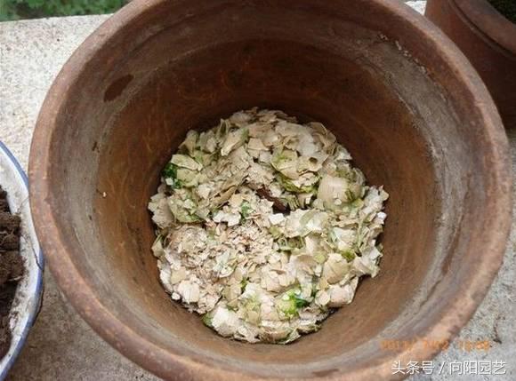 养花首先要养土,养花先养根合理的配土很重要