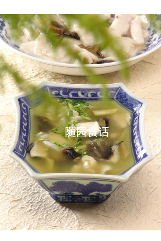 西杂鲟和中华鲟区别,西杂鲟和中华鲟杂交