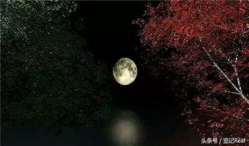 五、自由的国度和自由的孩子