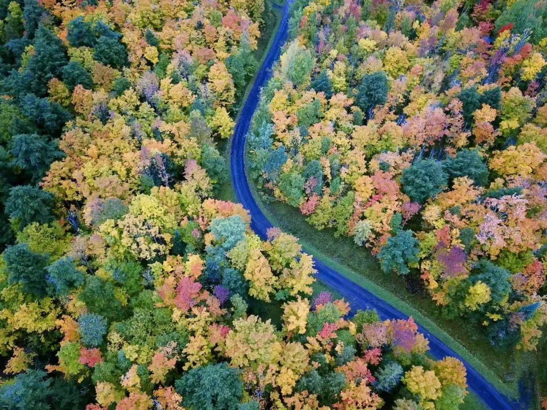 十一你们都去哪里玩了,十一大家都去哪玩了