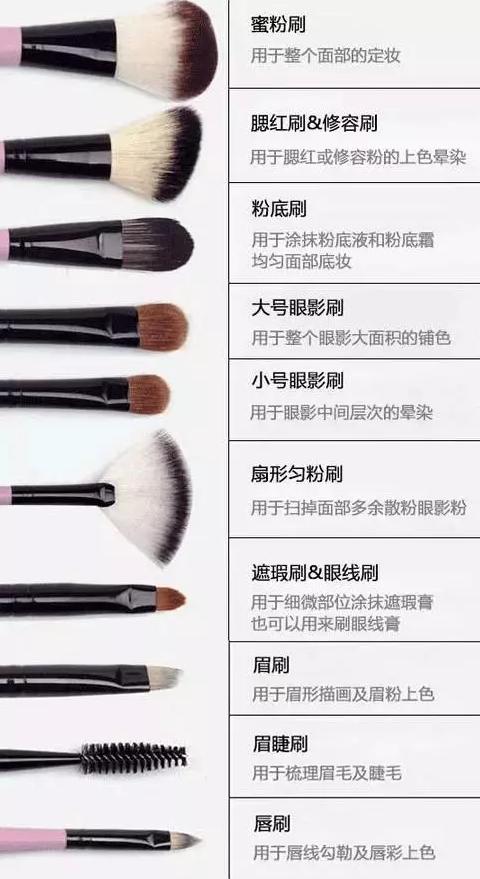 新手必备的四个化妆刷,新手不建议的化妆刷推荐