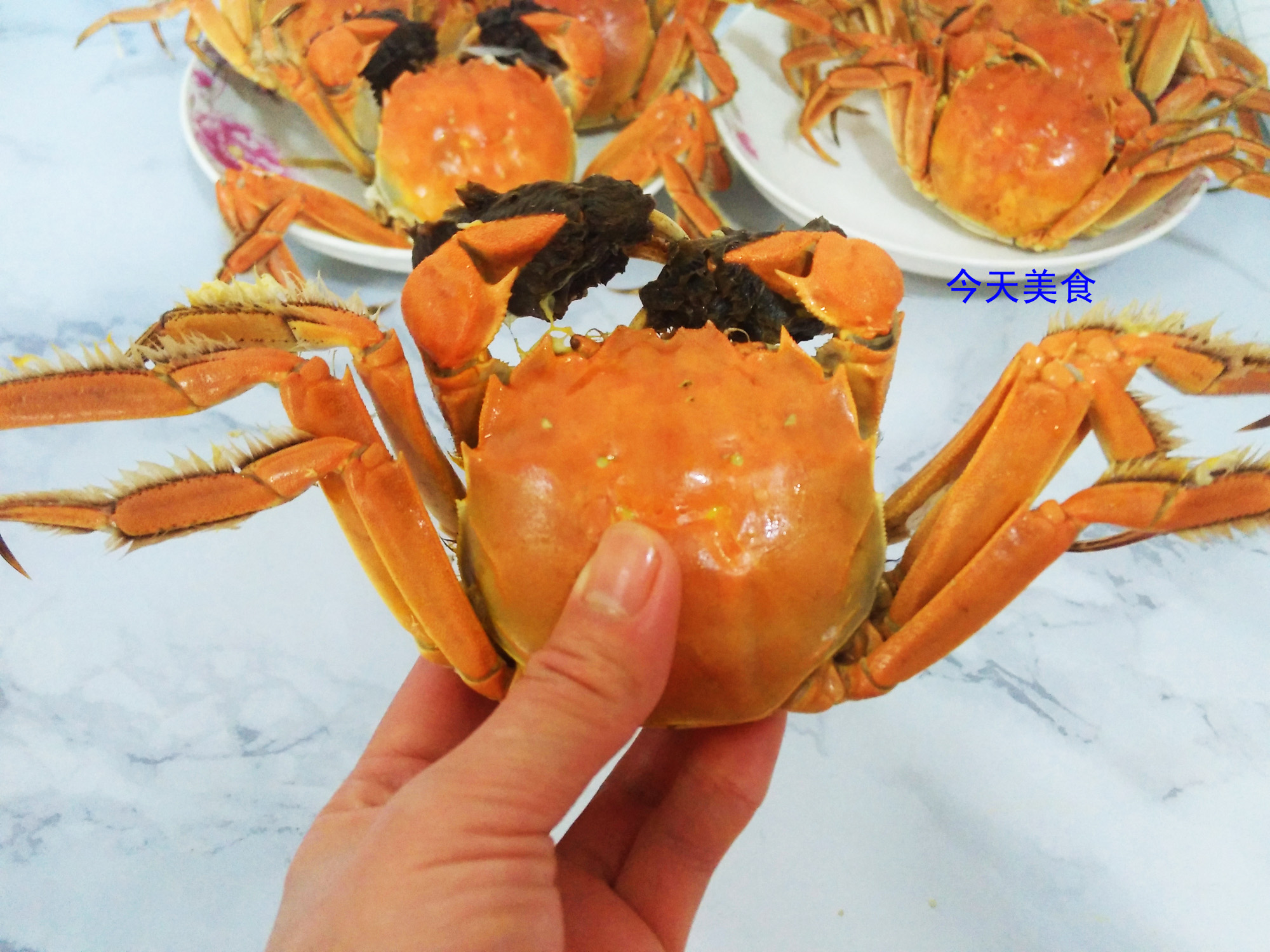 秋天是吃大闸蟹的最佳时间吧,秋风响蟹脚痒赏析