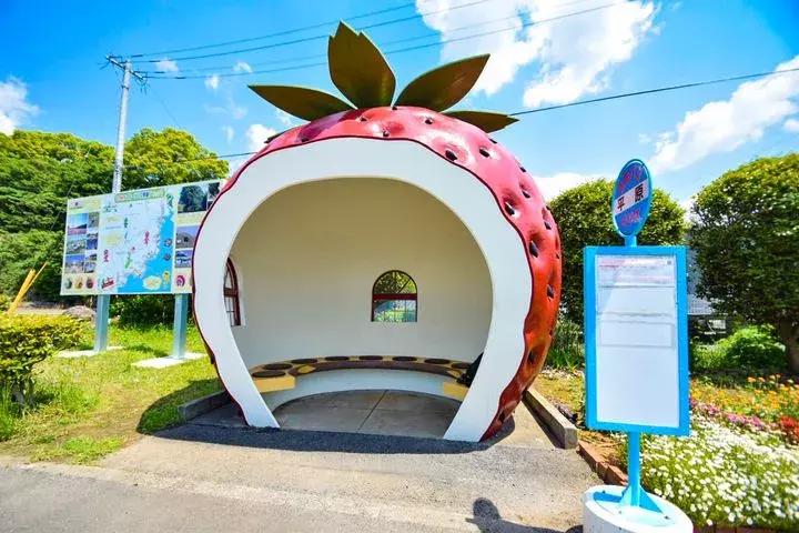 东京和北海道哪里旅游好一点,东京和北海道哪里旅游便宜