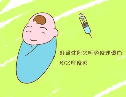 乙肝妈妈怎么避免胎儿宫内感染,怎么预防乙肝患者传给自己和家人