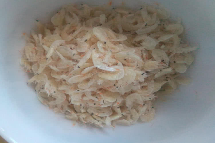 自制穿透力强的野钓诱鱼剂,强效野钓诱鱼剂配方